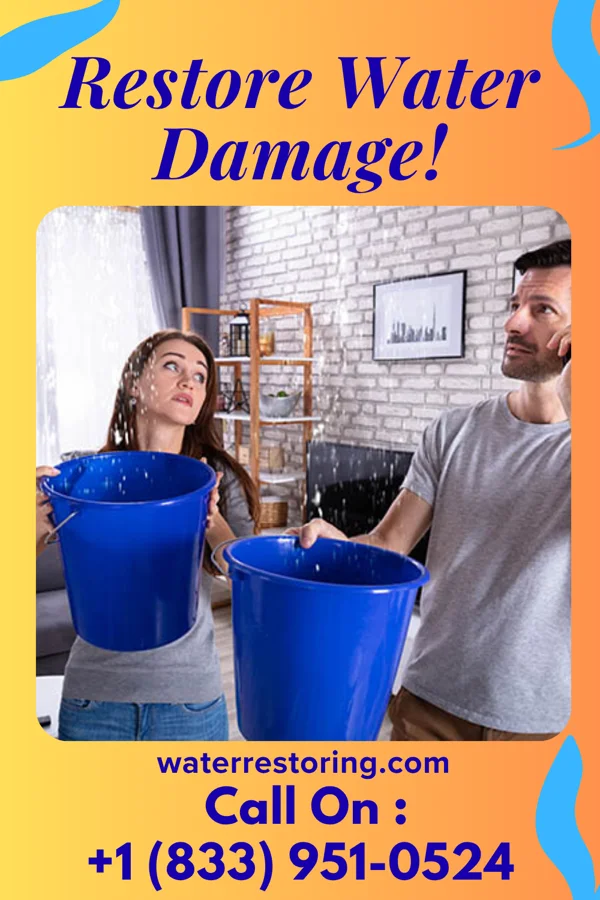 water restoration Trusted Flood Cleanup Professionals Badin