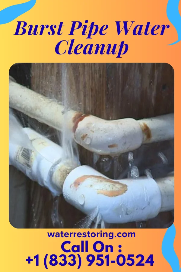 Burst Pipe Water Cleanup in Badin, NC
